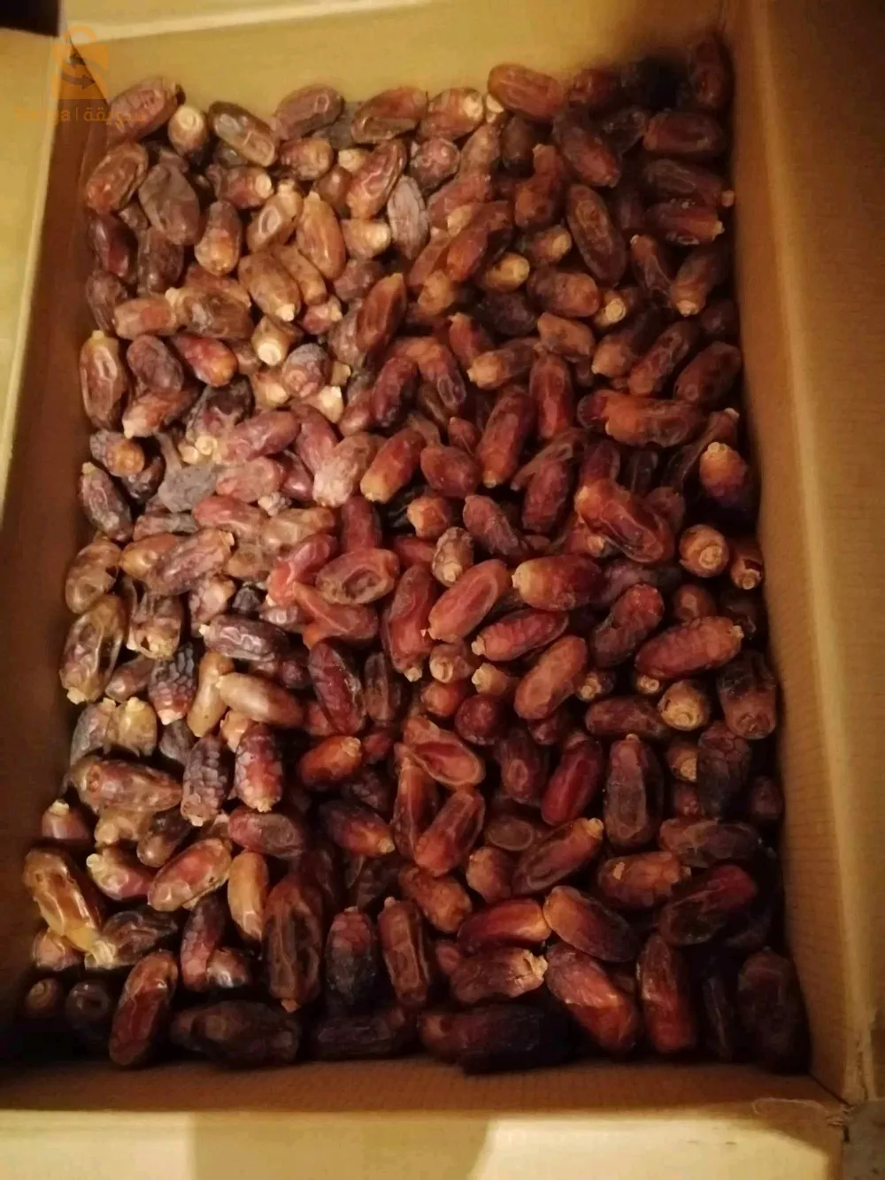 🇩🇿Algérie, Province de l'Adrar