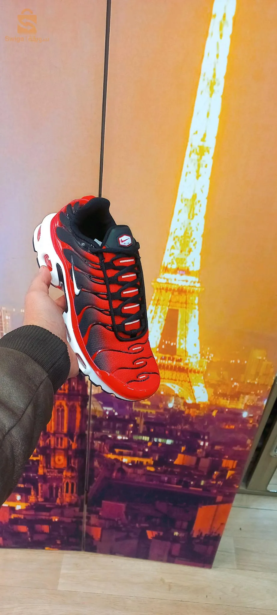 Tn. Lacoste. Dz
