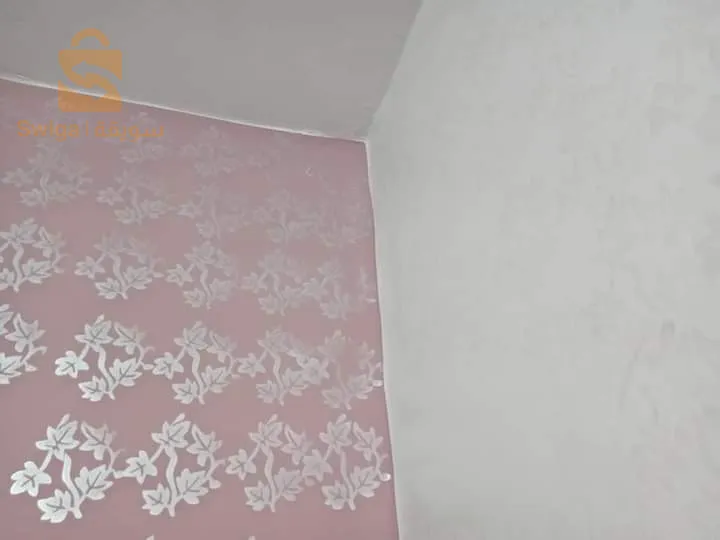 peintre professionnel