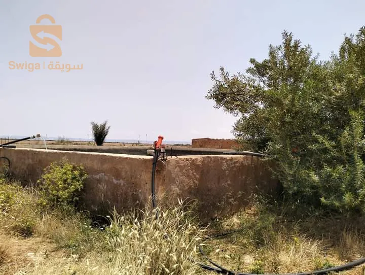 تتوفر أرض فلاحية بحاسي بحبح ولاية الجلفة مساحتها 15 هكتار تبعد عن الطريق 4 كم بها بئر ارتوازي جيد جدا للشرب+ حوض مائي +سكن حديث كامل و مستودعين كبيرين لتربية الاغنام كما تتوفر على اونقار بمساحة 320 م وتتميز بتربة جيدة جدا 
الوثائق: عقد ملكية ودفتر عقاري 

تتوفر على الكهرباء

رقم الهاتف: 0697079878