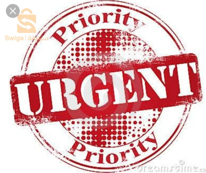 Translation , ennglish training, IELTS preparation