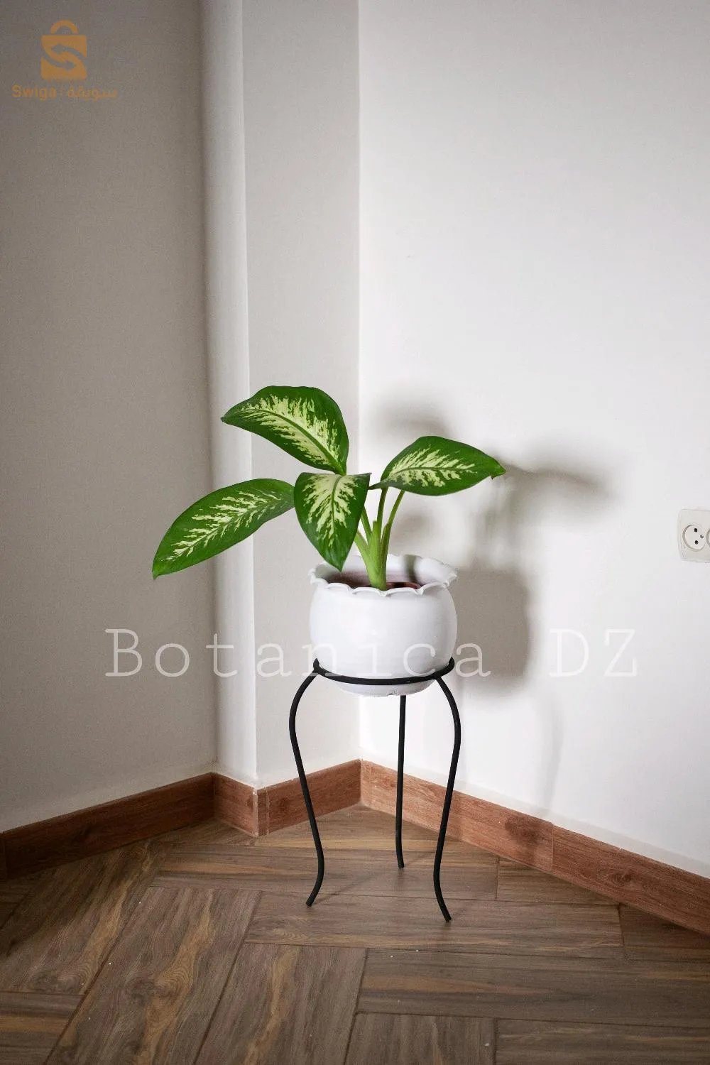 plantes d'intérieur ☘️ artificielles et naturelles avec pot en terre cuite et support en bois ou en fer ❤️
