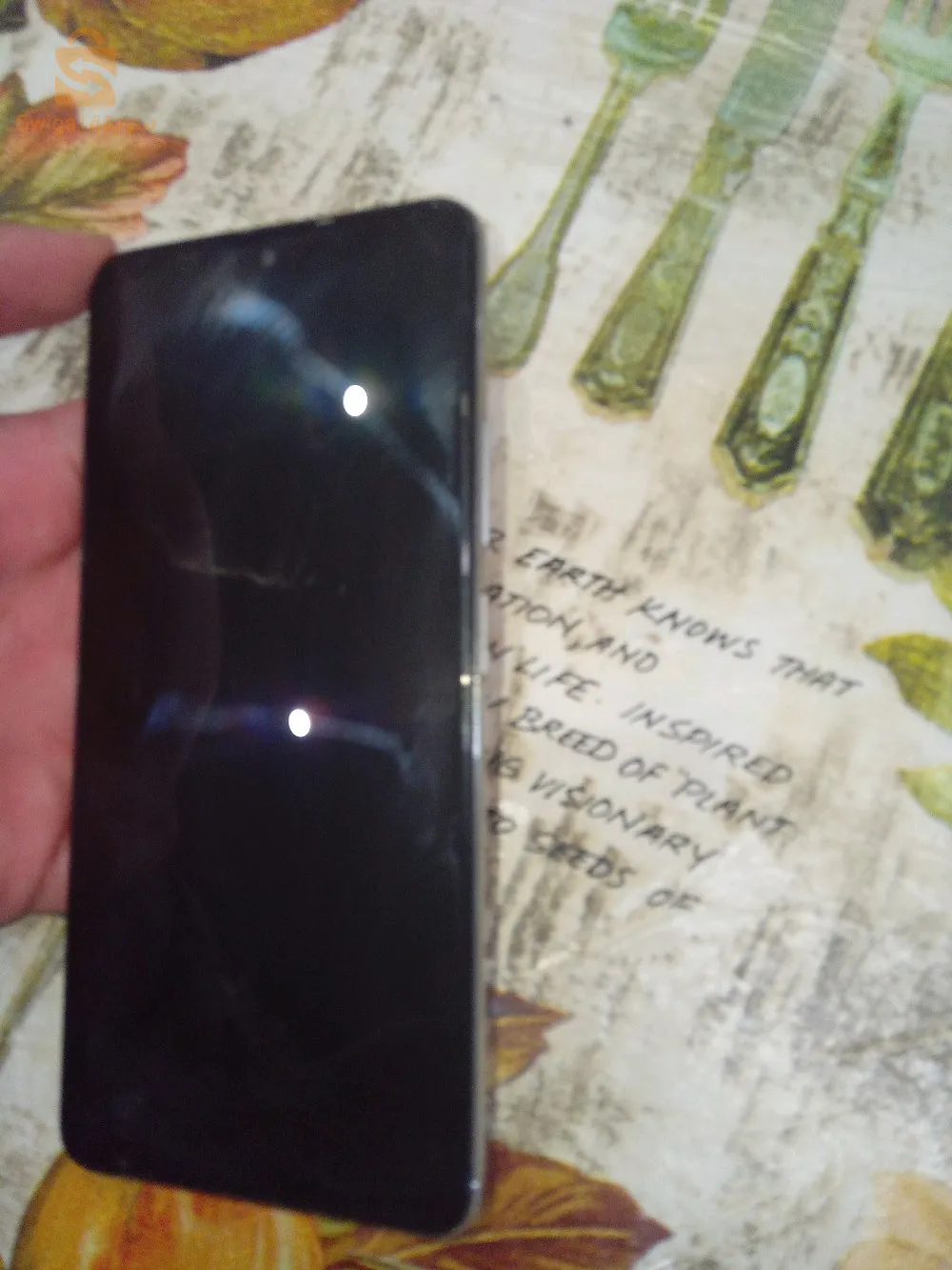 الدار البيضاء_ القرية