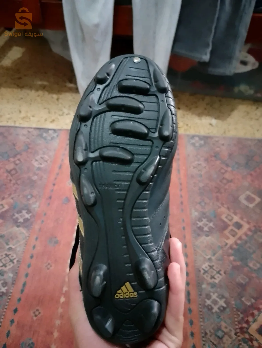 حداء قيسه 36