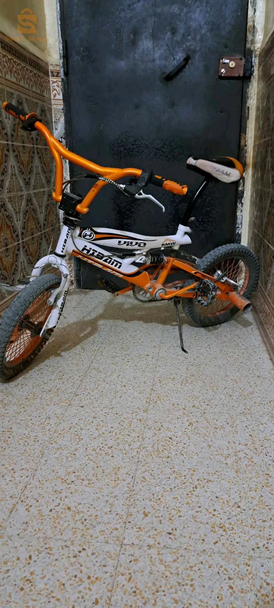 الشريعة ولاية تبسة