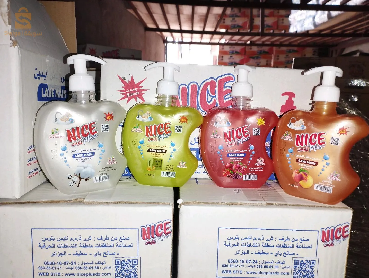 القادرية