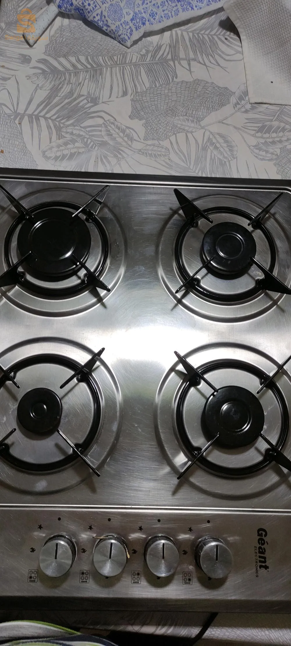 plaque chauffante INOX marque GEANT