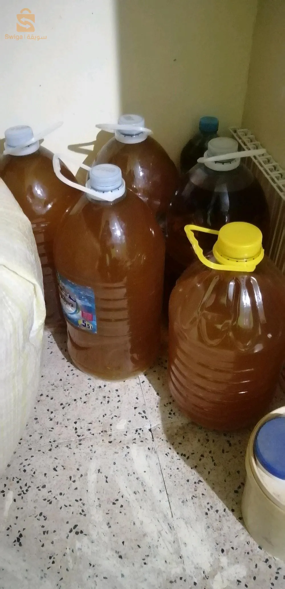 تادميت تيزي وزو