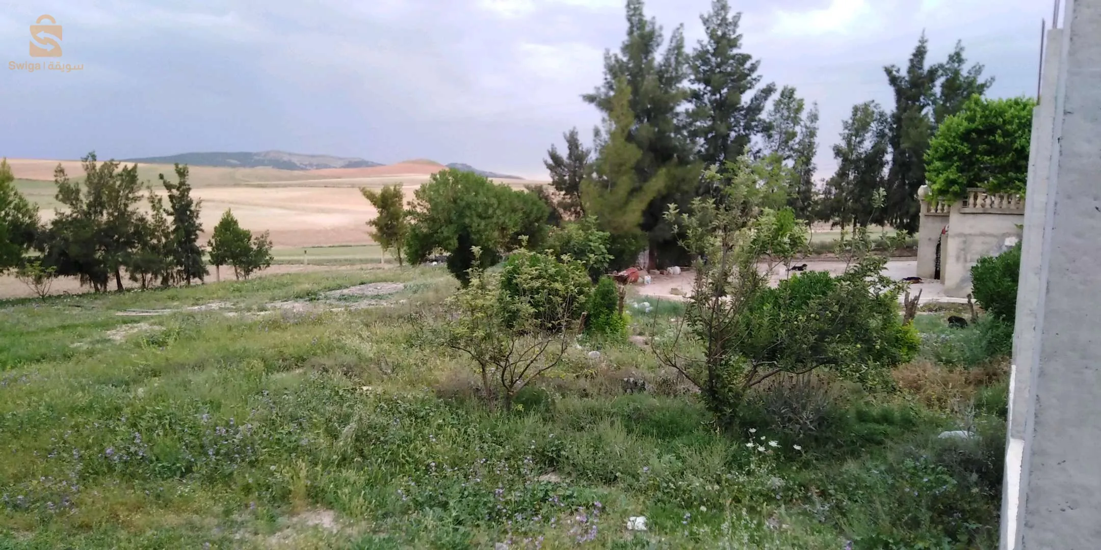 قطعة ارض للبيع ومعه منزل المساحة نصف قطار المكان بين واد العثمانية و شلغوم العيد