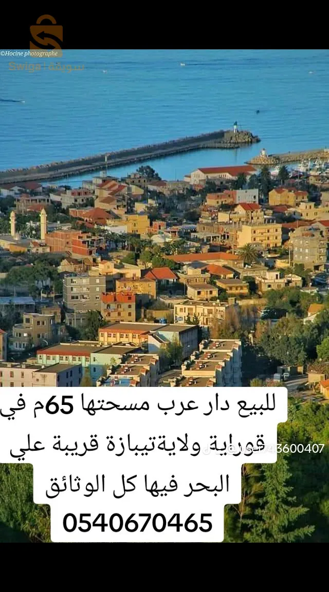 قوراية ولاية تيبازة سنتر فيل