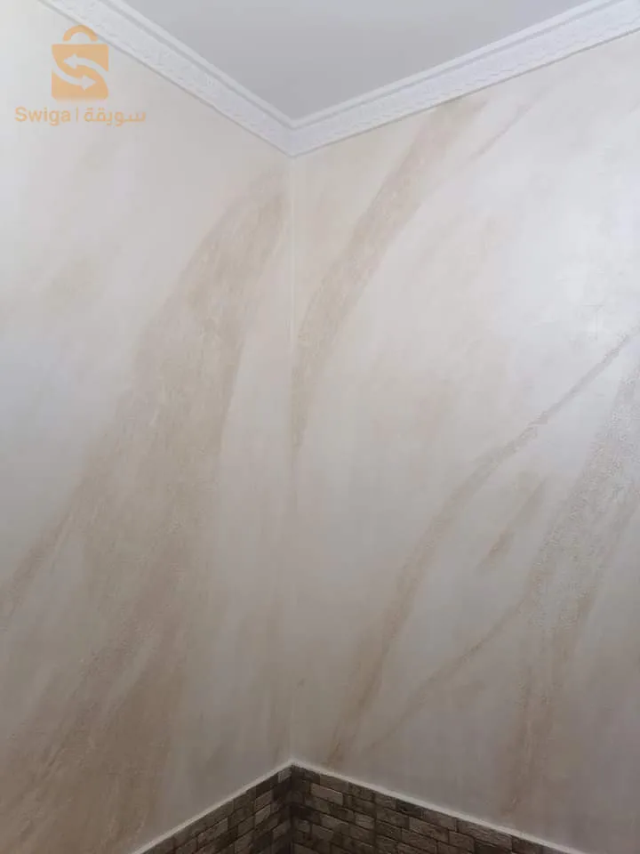 زين دارك