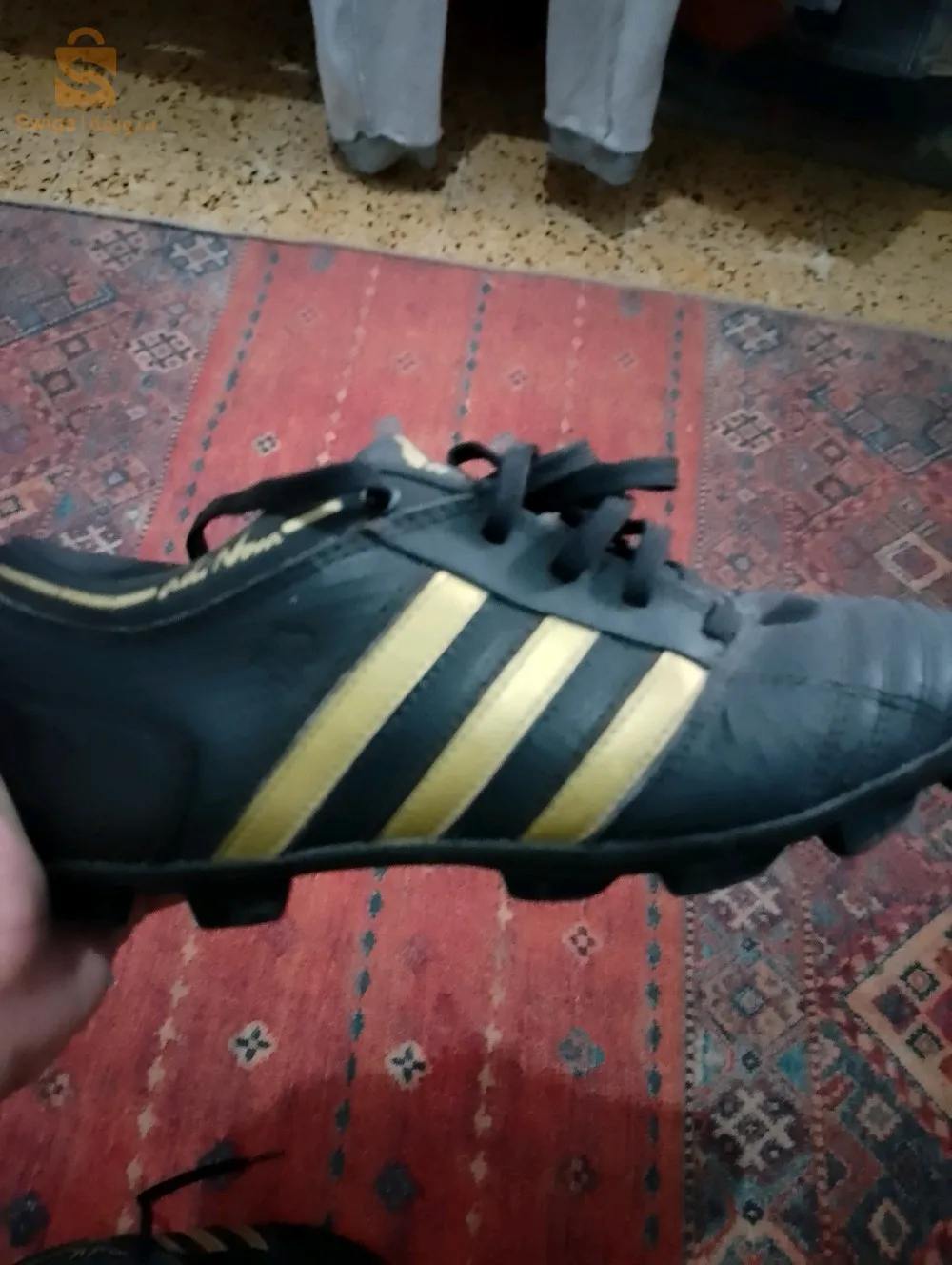 حداء قيسه 36