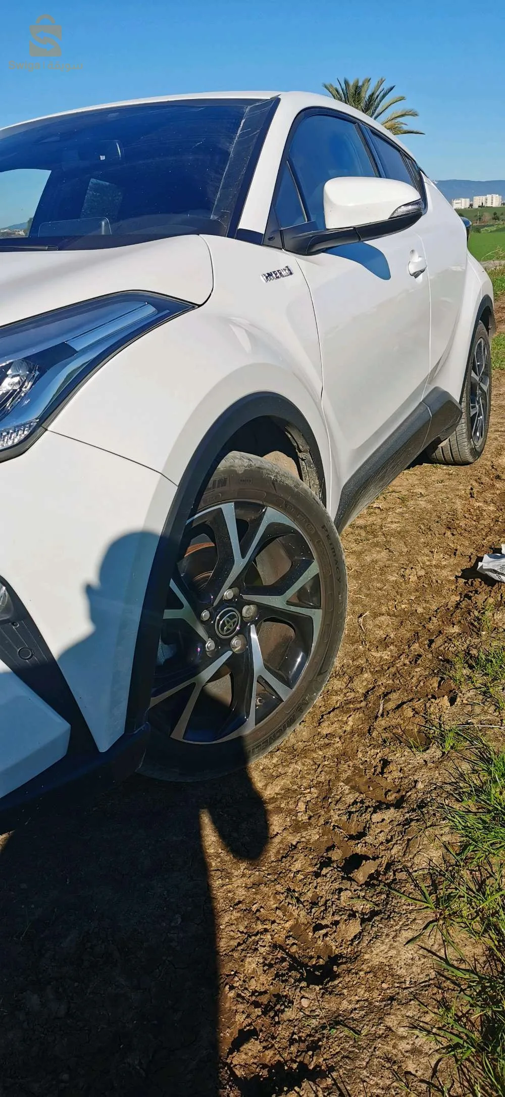 بلدية الذرعان ولاية الطارف