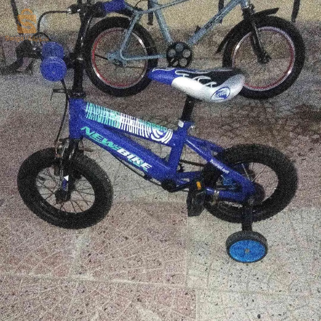 دراجات هوائيه فرنسية