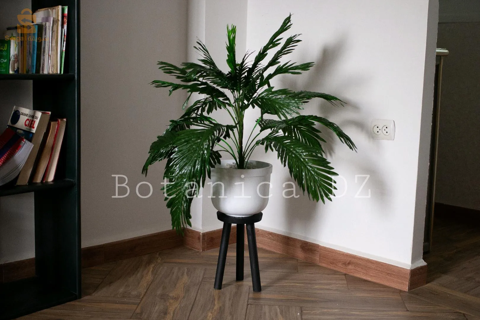 plantes d'intérieur ☘️ artificielles et naturelles avec pot en terre cuite et support en bois ou en fer ❤️