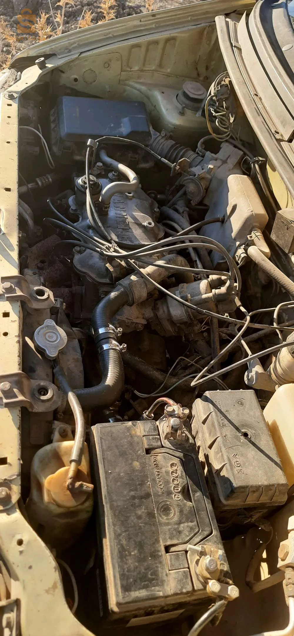 السواقي ولاية المدية