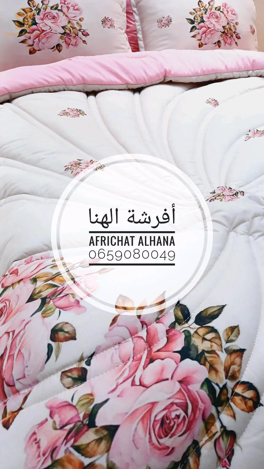 الشلف لاسيتي وكاين توصيل لجميع الولايات