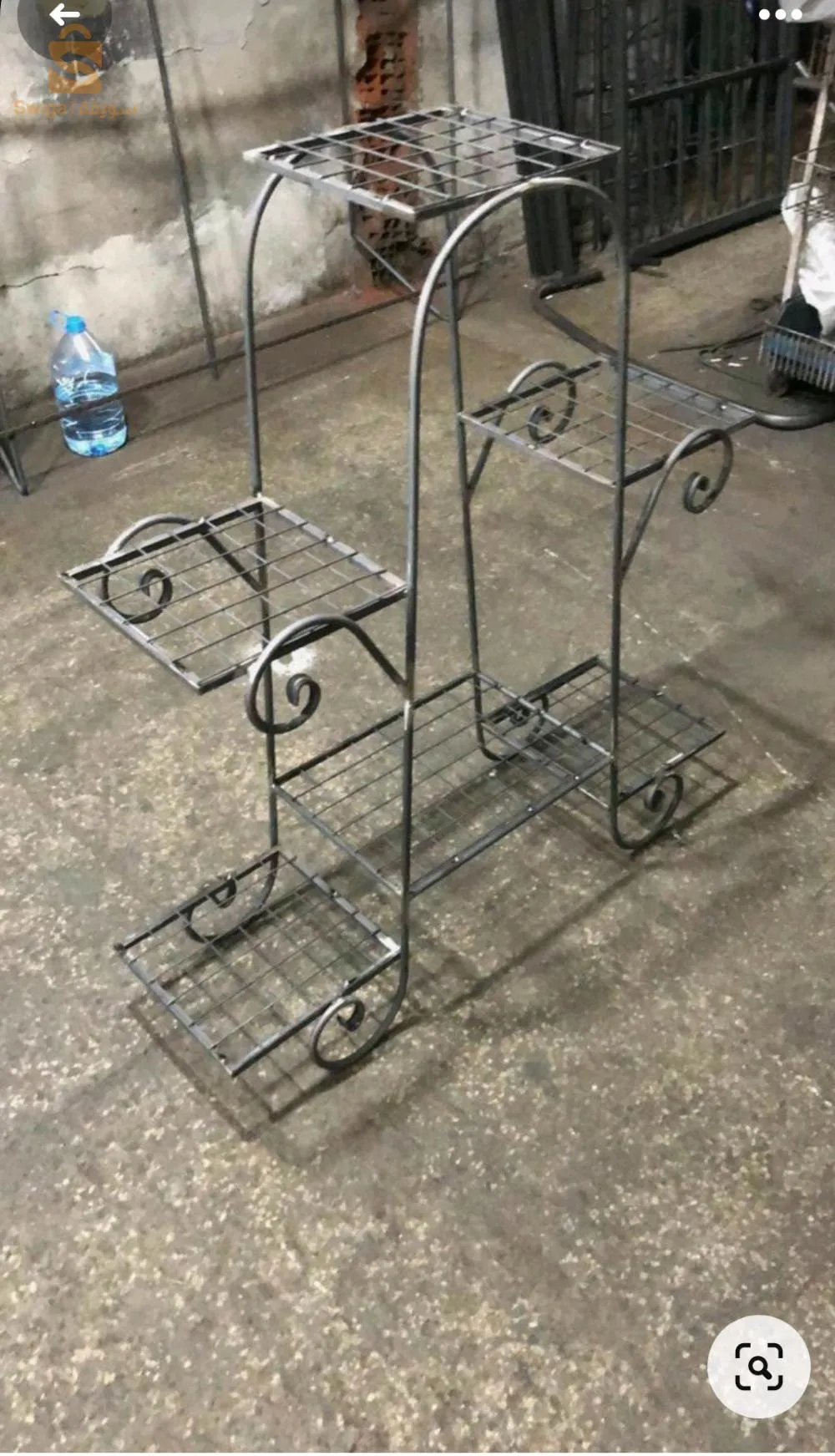 علاقة نباتات