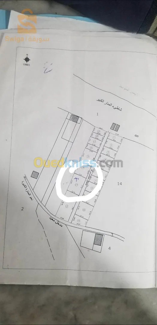 🏖قطعة ارض في مكان سياحي معروف مقابلة بحر في جيجل المنارة الكبيرة grand phare🏖مساحة 771 م2