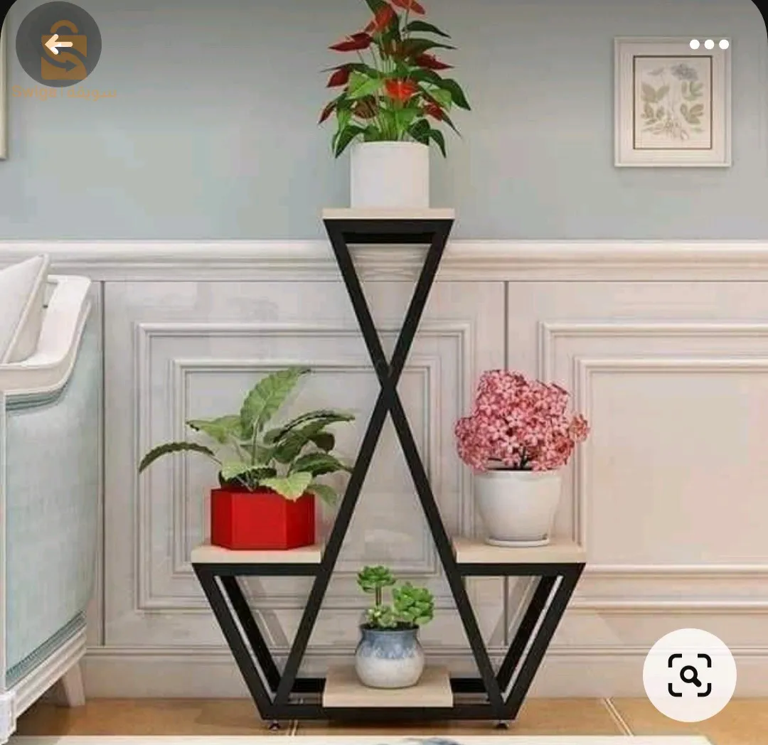 علاقة نباتات