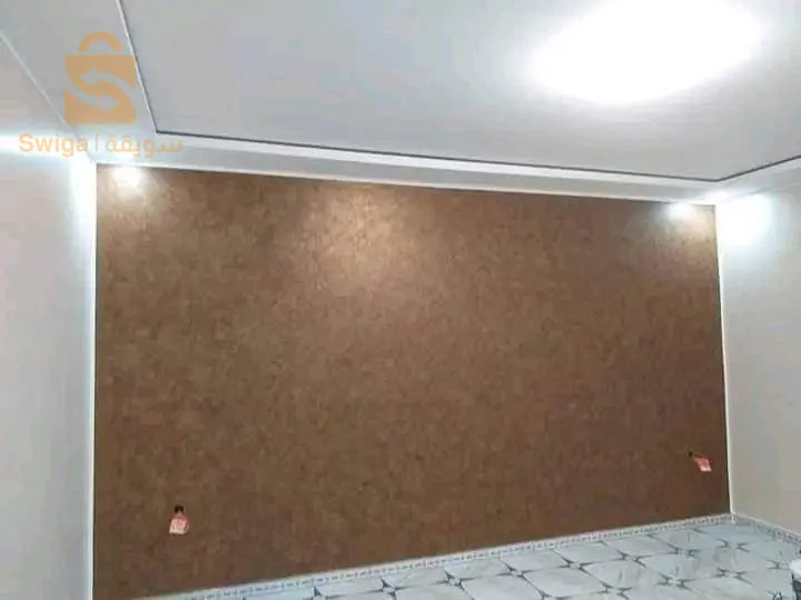 زين دارك