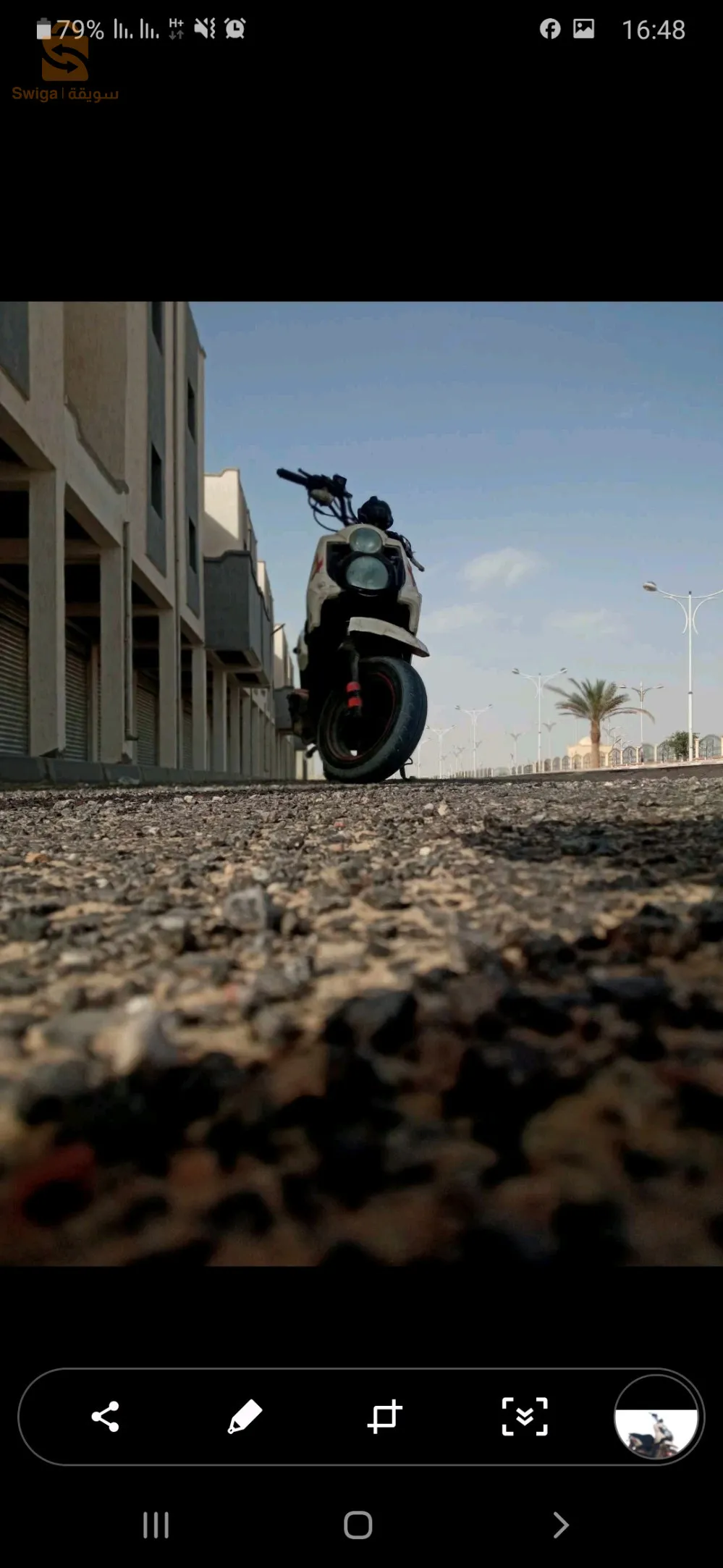 ليفان فيسبا