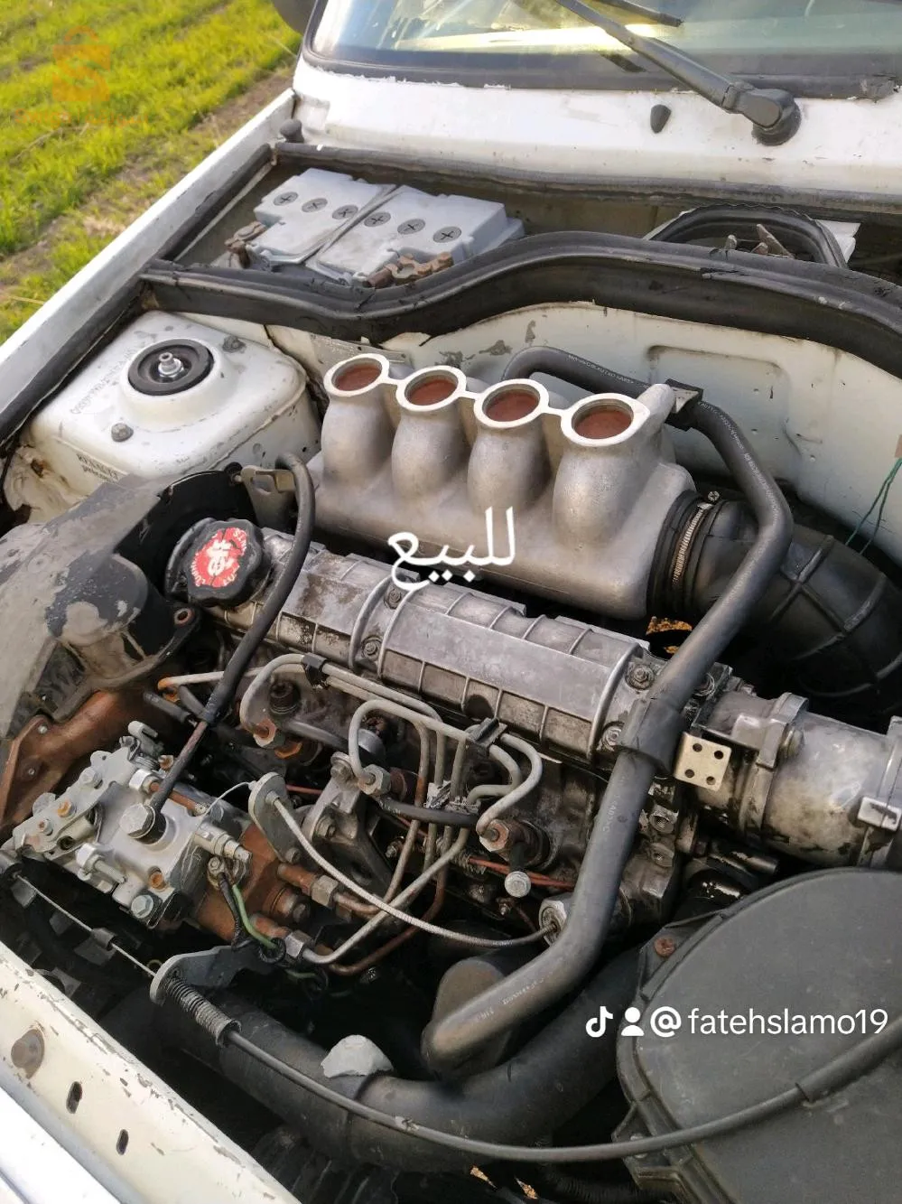 سطيف