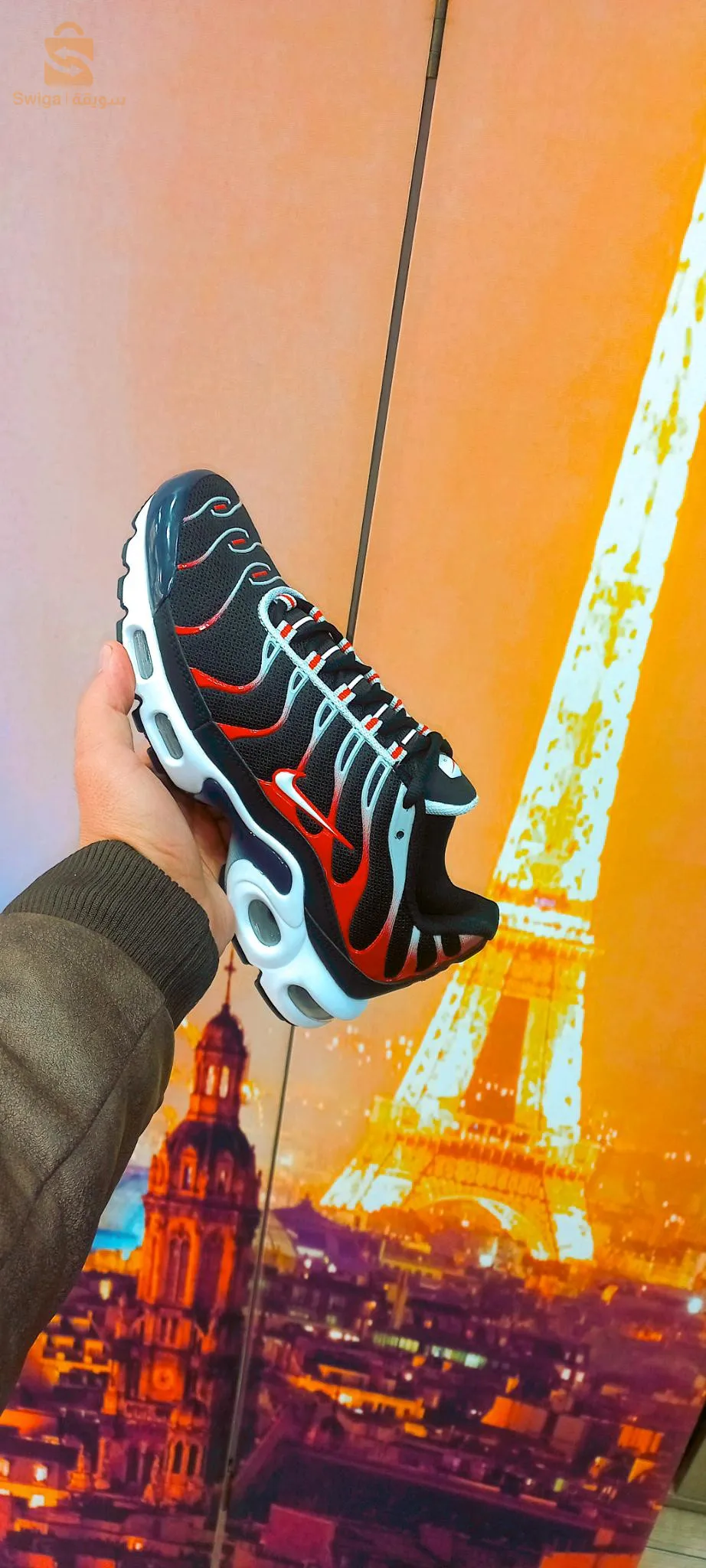 Tn. Lacoste. Dz