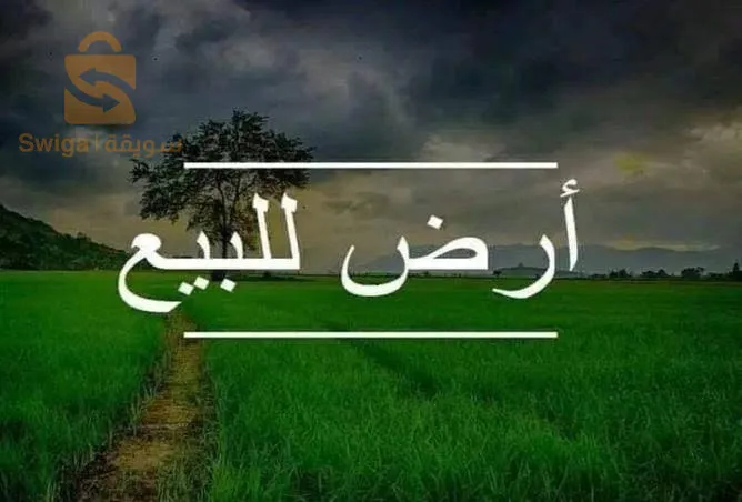 حي سيدي موسى جوانفيل البليدة