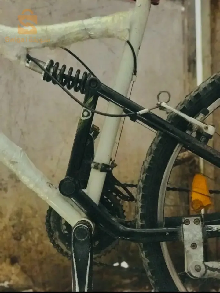 Rockrider  افارر