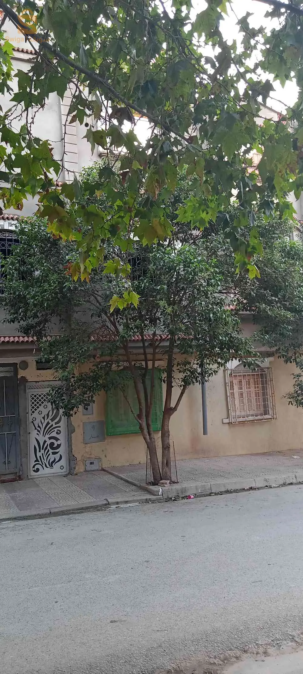 تلمسان صبرة