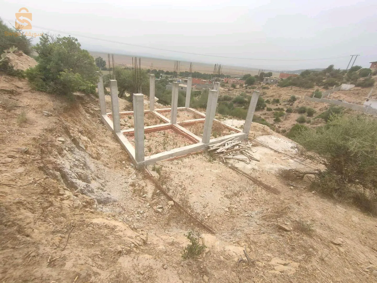 عايب عمار