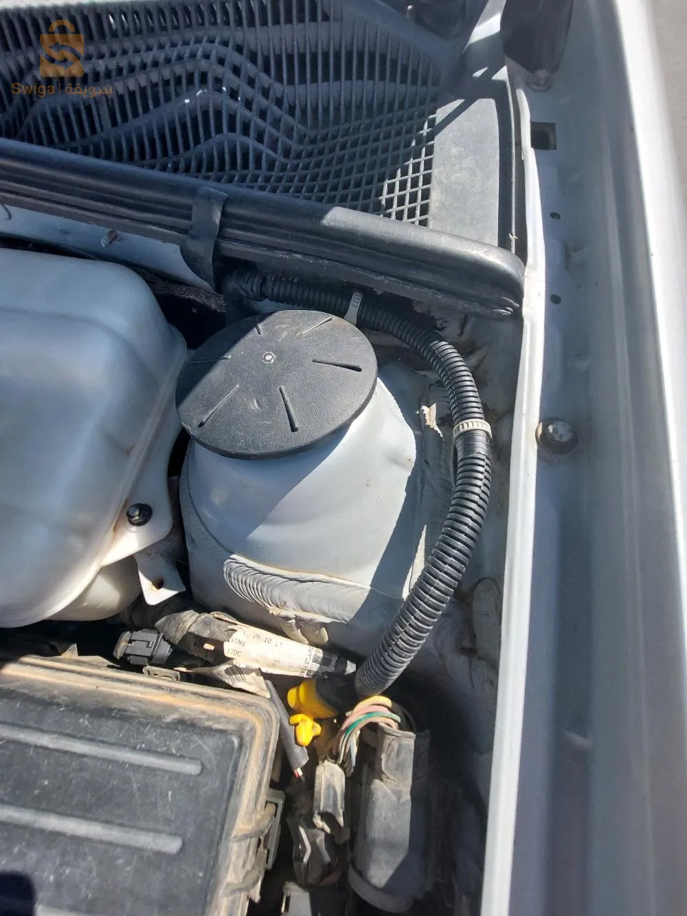 قصر البخاري ولاية المدية