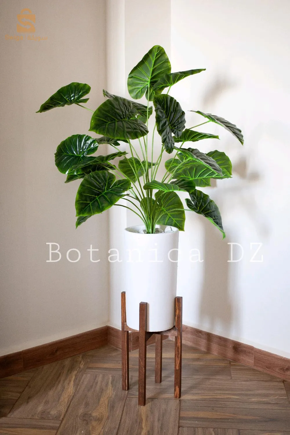 plantes d'intérieur ☘️ artificielles et naturelles avec pot en terre cuite et support en bois ou en fer ❤️