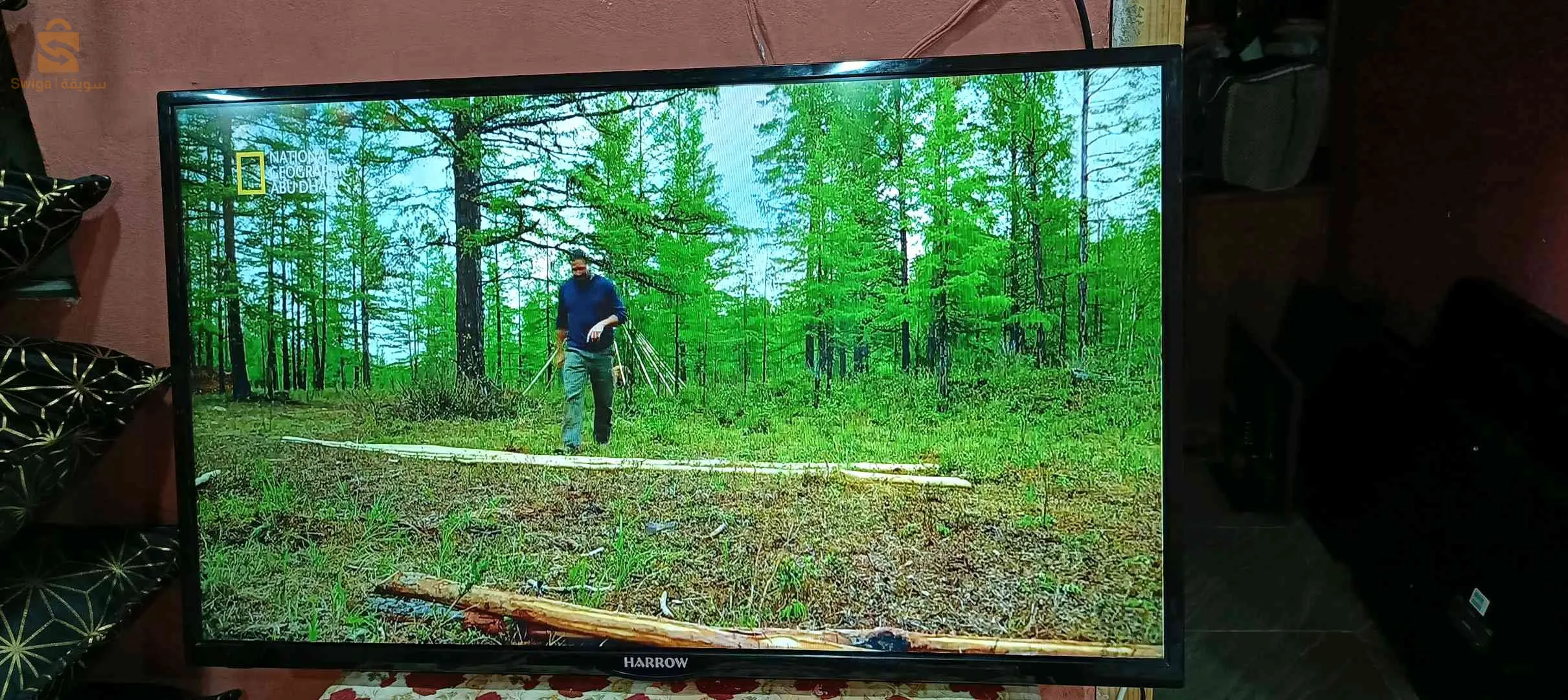 6 - Télévision 
- Tv Sony 
- Tv Philips
- Tv Thomson
- Tv Hannspree
-Tv ShaubLorenz 
tv Harrow