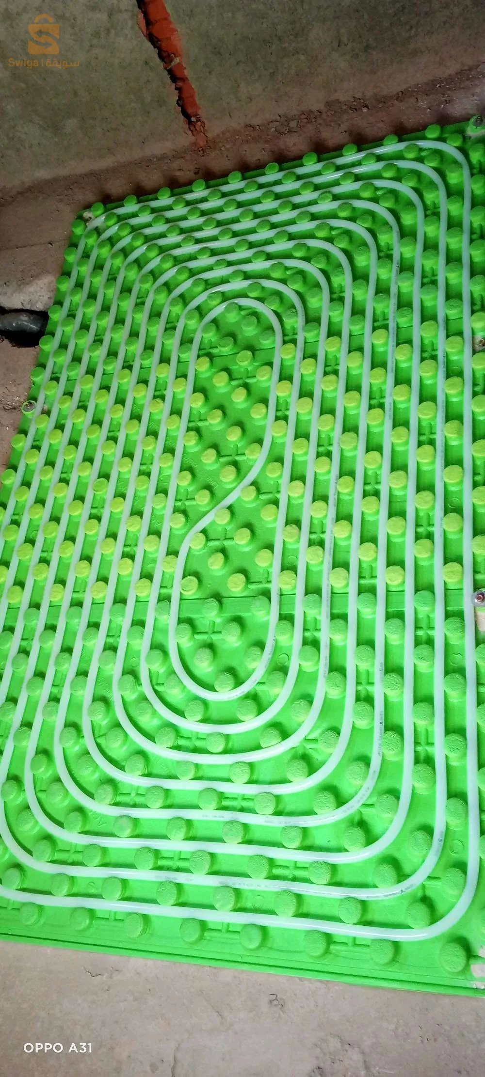 الجزائر