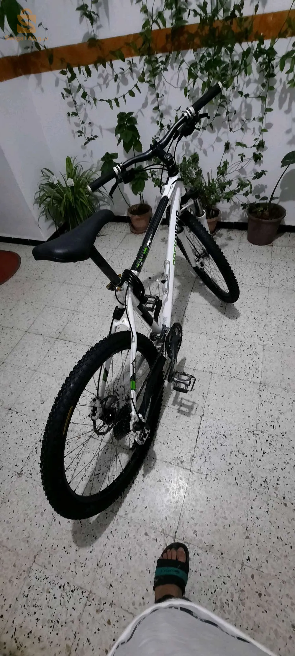 بيسكلات RockRider