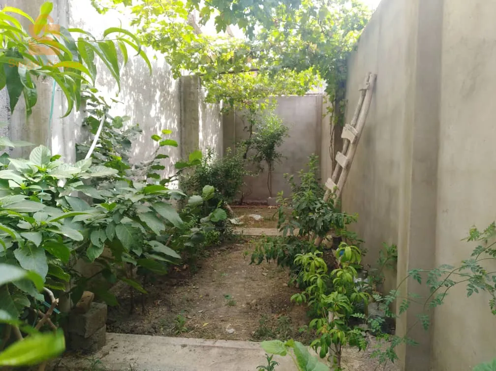 سكيكدة