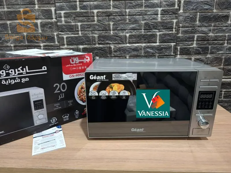 Four et Micro onde 2en1 marque géant