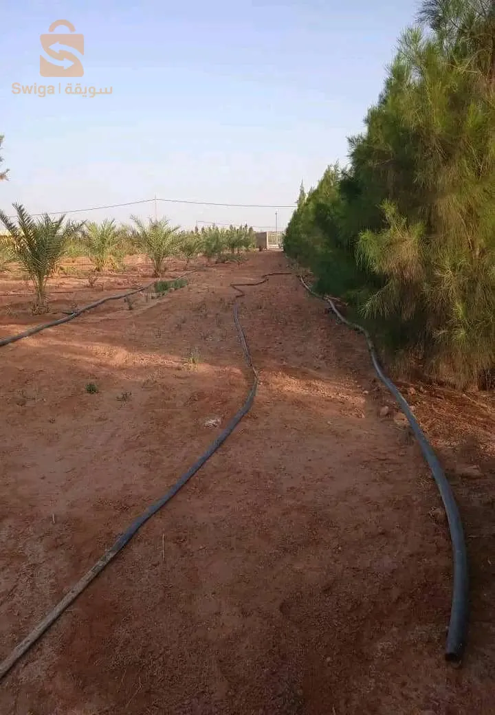 طريق الفنادسة بشار
