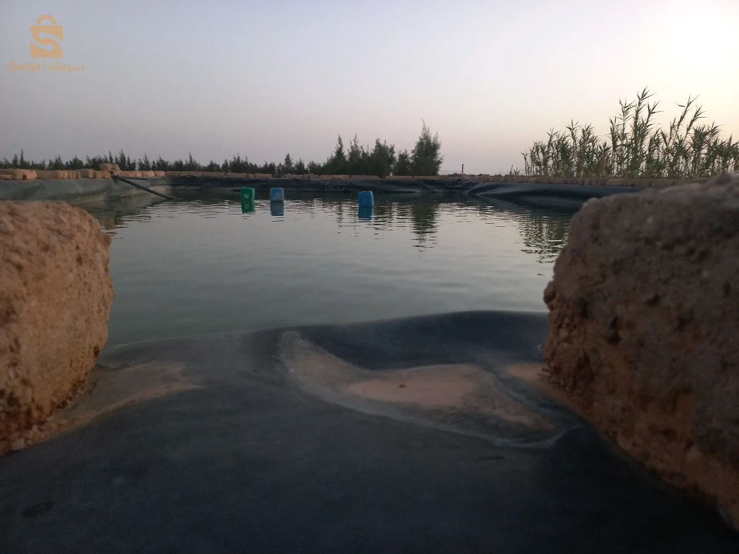 مزرعة جاهزة بكل المستلزمات 10 هكتار