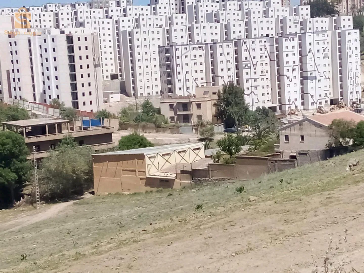 محالمة زيرالدا