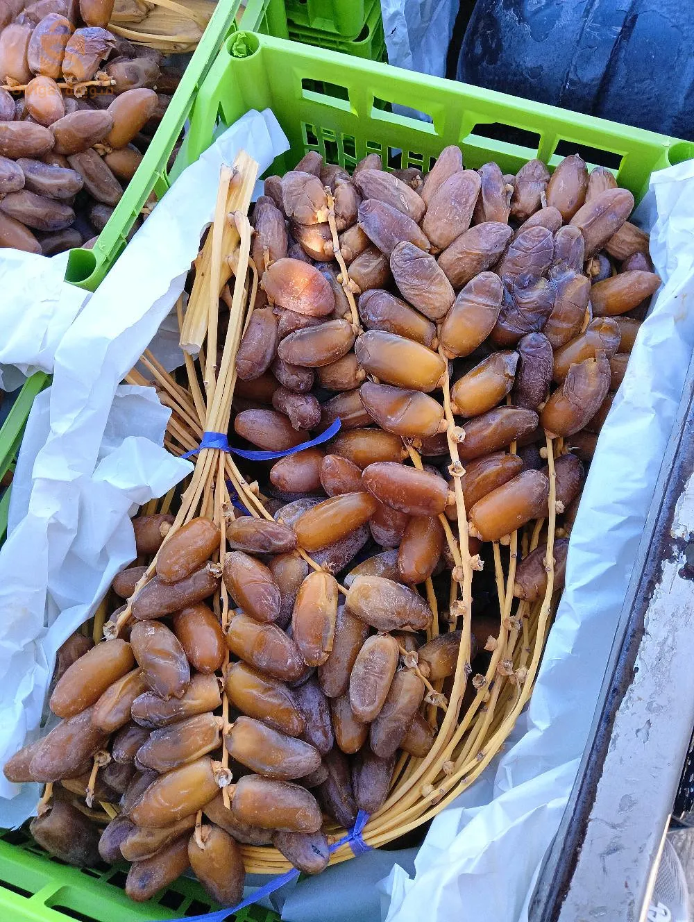 فوغالة