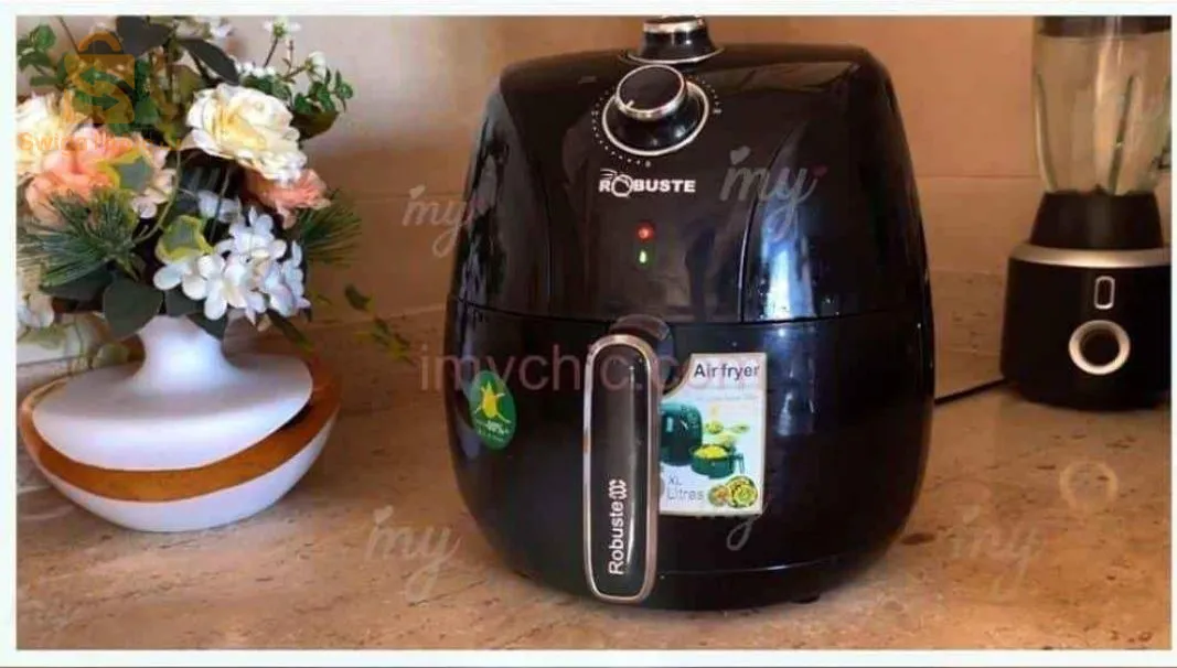 🍟friteuse robuste 2000w