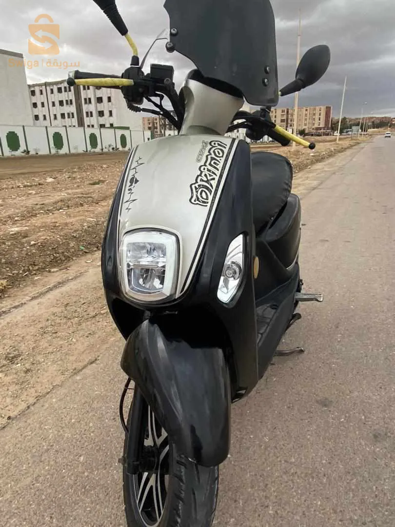جديدة مفيها حتى حاجة