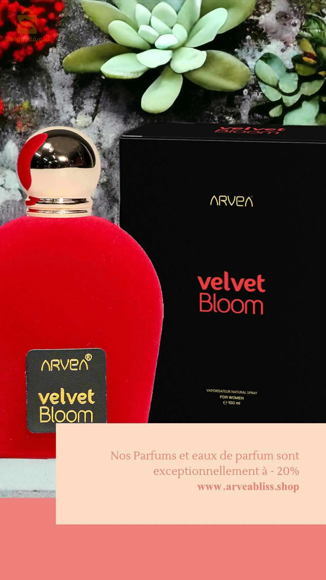 عطور راقية و أصلية حسب الإختيار
