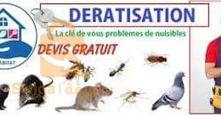 Dératisation, Désinsectisation et Désinfection