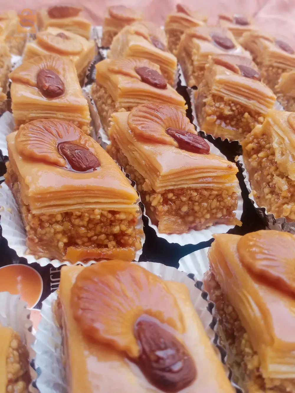 تاوڨريت شلف