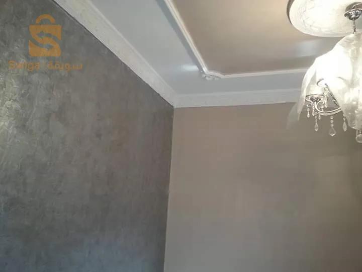 peintre professionnel