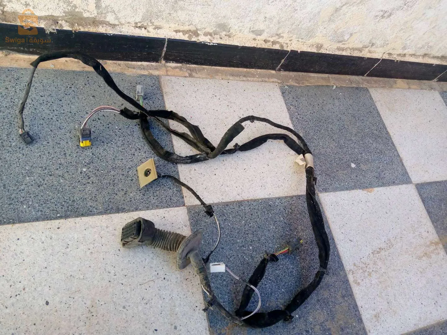 البسباس الطارف
